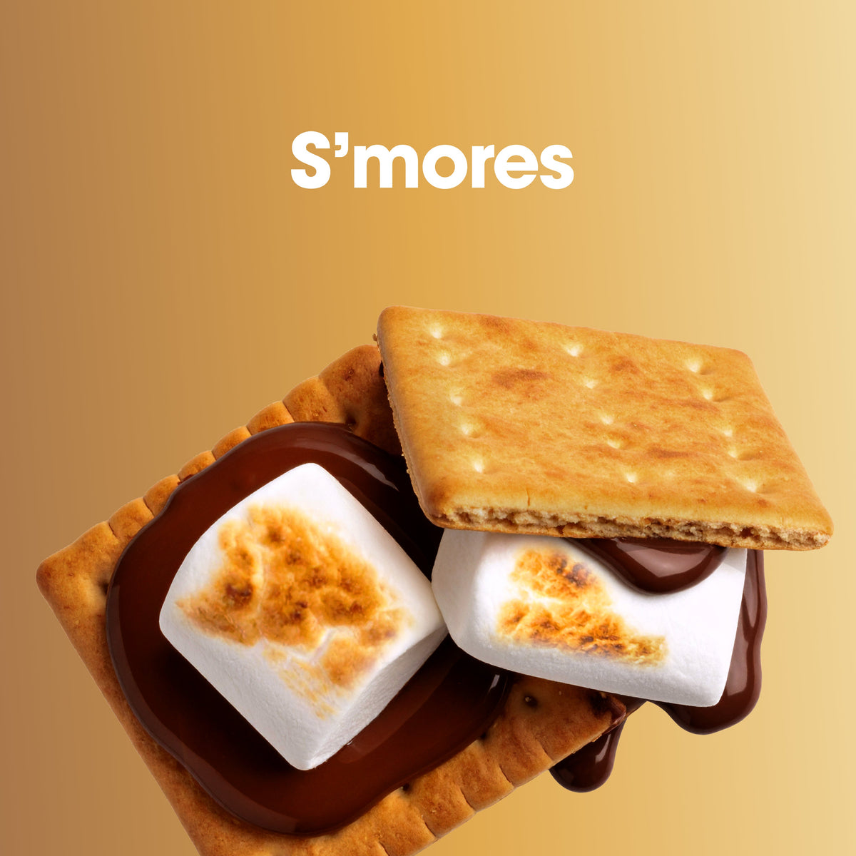 S'mores with graham crackers, marshmallows, and chocolate on a gold background